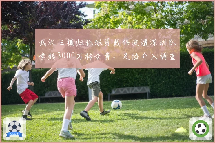 武汉三镇归化球员戴伟浚遭深圳队索赔3000万转会费，足协介入调查
